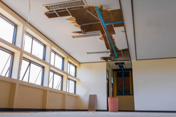 Best Flooded house restoration  in Roslyn, NY