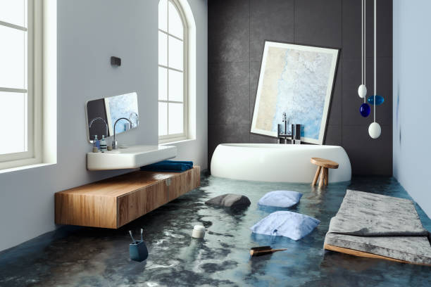 Best Professional water damage repair  in Roslyn, NY