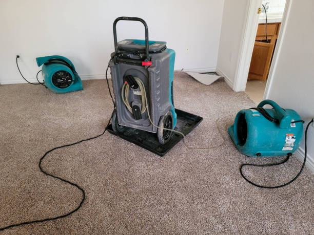 Best Fire Damage Restoration  in Roslyn, NY