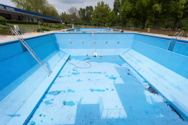 Best Water damage contractors near me  in Roslyn, NY