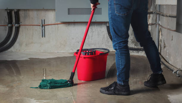 Best Water damage restoration near me  in Roslyn, NY
