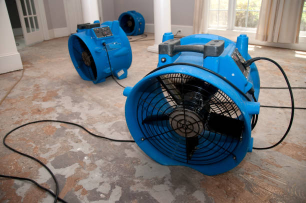 Best Water damage cleanup near me  in Roslyn, NY