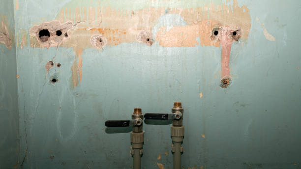  Roslyn, NY Water damage restoration Pros