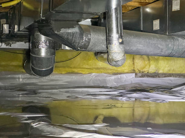 Best Water damage restoration mold remediation  in Roslyn, NY