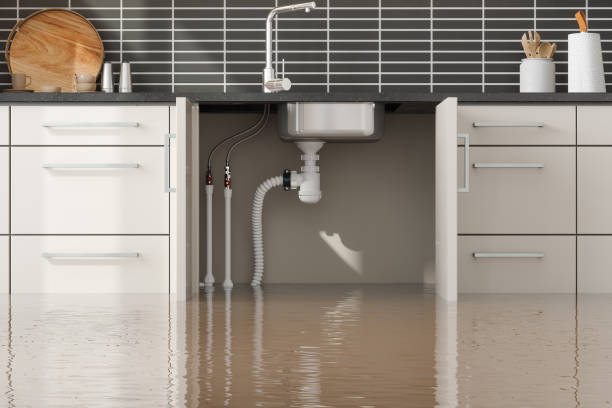 Best Mold removal after water damage  in Roslyn, NY