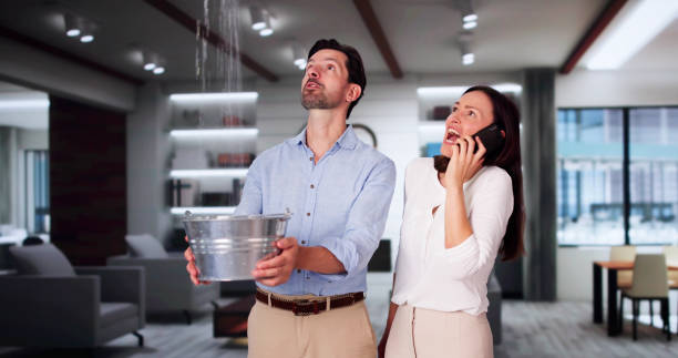 Best Flood damage cleanup  in Roslyn, NY