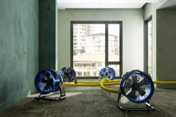 Best Emergency water damage restoration  in Roslyn, NY